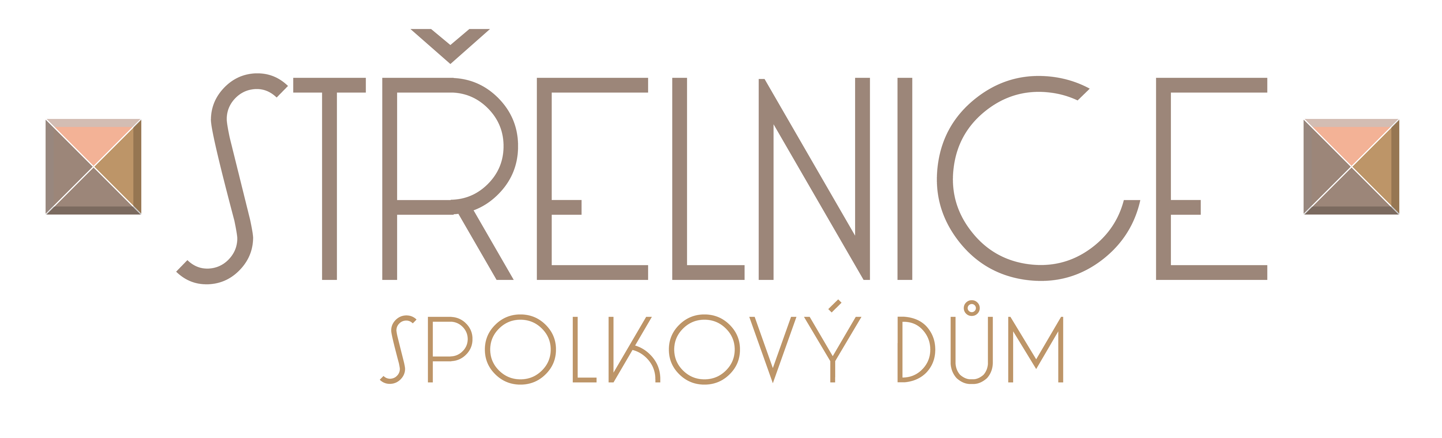 Primary Raster logo